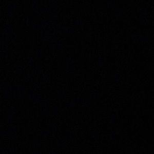 Meet your Posher, Brady